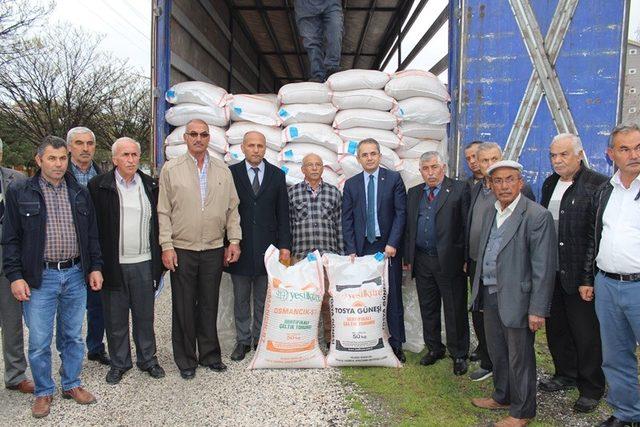 Tosya’da çiftçilere 24 ton çeltik tohumu dağıtıldı