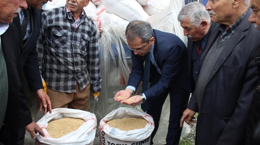 Tosya&rsquo;da &ccedil;ift&ccedil;ilere 24 ton &ccedil;eltik tohumu dağıtıldı