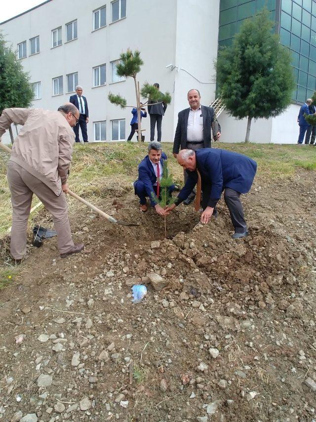 Turizm Haftasında binlerce fidan toprakla buluştu