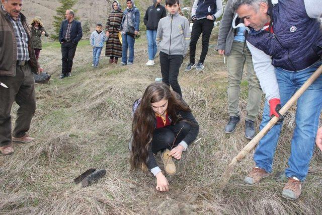 Hakkari’de fidan dikme kampanyası