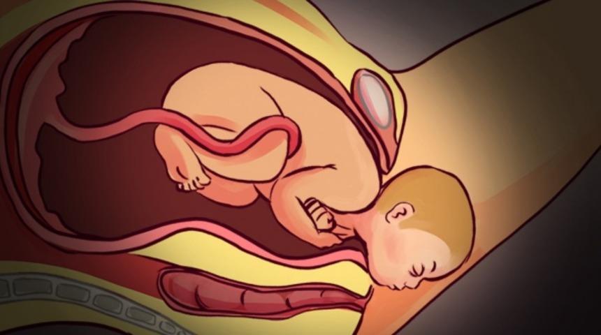 Kadın v&uuml;cudunun ve hamileliğin b&uuml;y&uuml;leyici ger&ccedil;ekleri