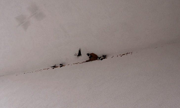 TOKİ çalışmalarını durdurmuştu! Yeniden ortaya çıktılar G3