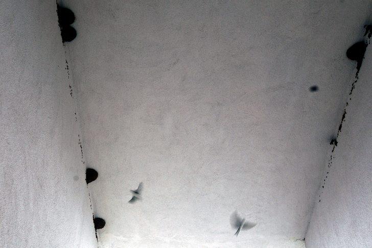 TOKİ çalışmalarını durdurmuştu! Yeniden ortaya çıktılar G4