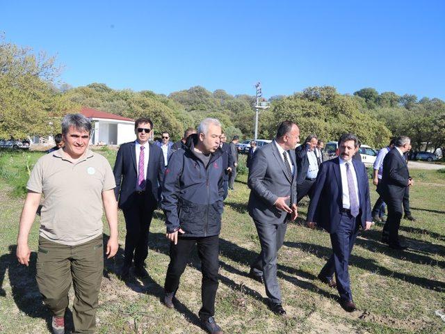 Troya Tarihi Milli Parkı Yeniköy Plajı Günü Birlik ve Çadırlı Kamp Alanı tamamlanıyor