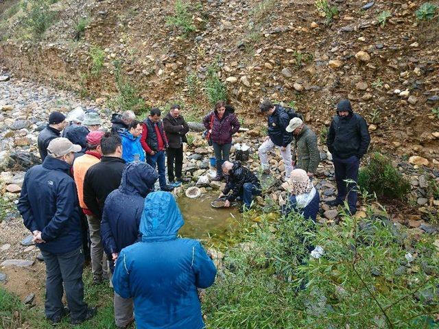 MTA proje değerlendirme toplantısını Milas’ta yaptı