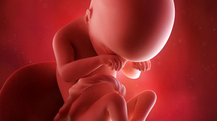 İki yıldır inceleniyor! İyot eksikliği çocukların IQ'sunu etkiliyor