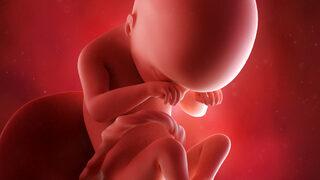 İki yıldır inceleniyor! İyot eksikliği çocukların IQ'sunu etkiliyor