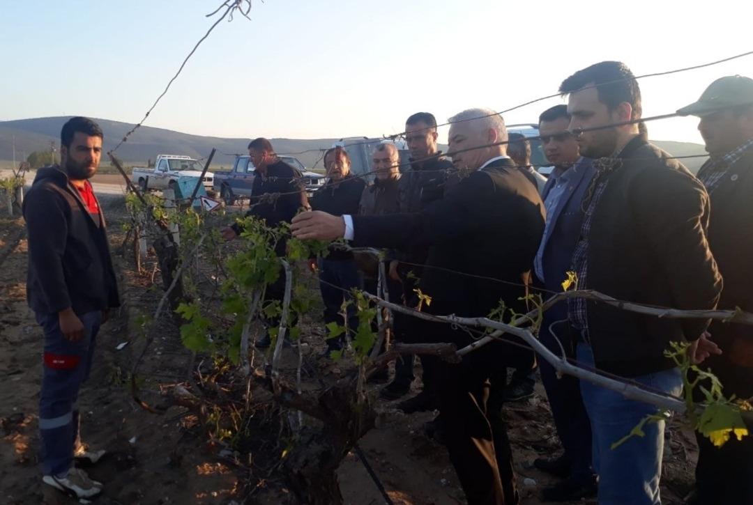 Başkan Bilgin dolunun zarar verdiği tarım alanlarını inceledi