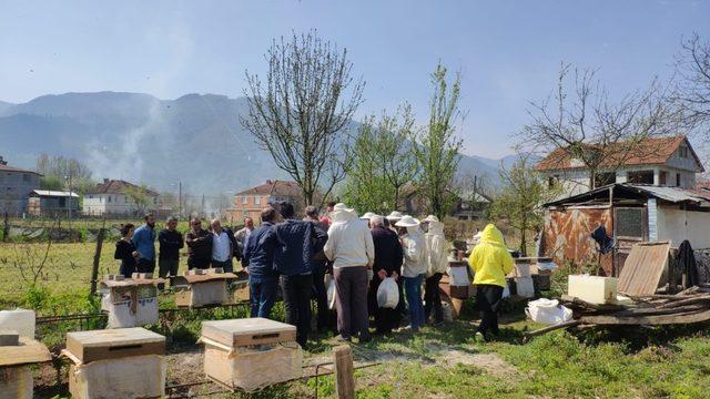 DAGEM Bölge arıcılarına ana arı ve arı sütü üretimini öğretti