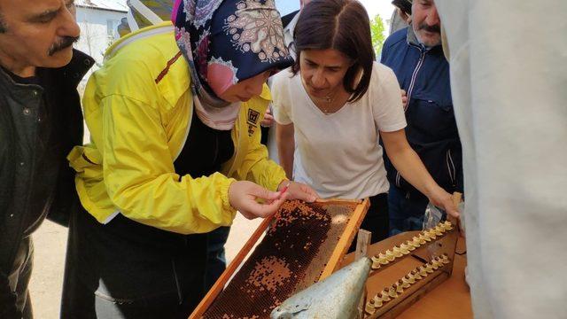 DAGEM Bölge arıcılarına ana arı ve arı sütü üretimini öğretti