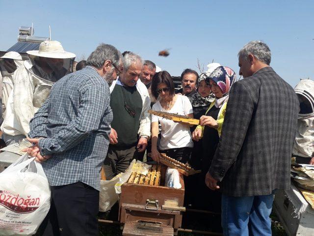 DAGEM Bölge arıcılarına ana arı ve arı sütü üretimini öğretti