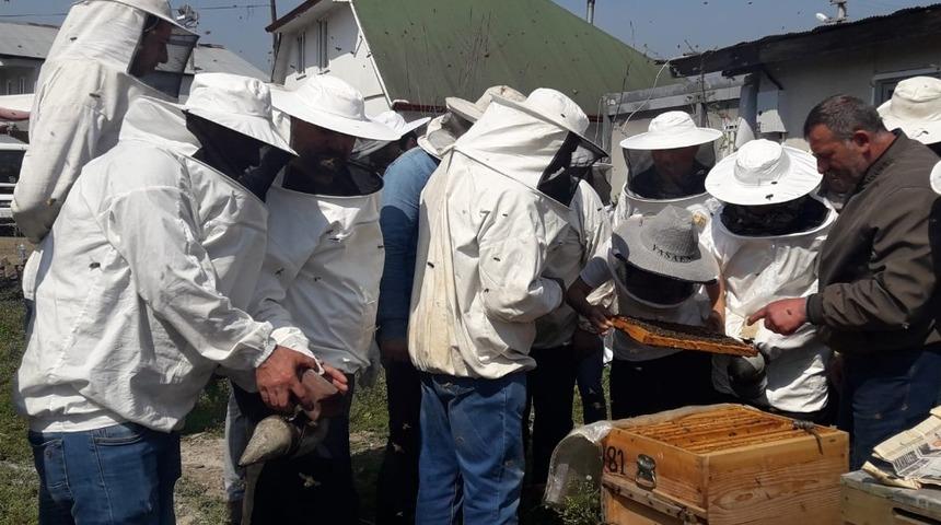 DAGEM B&ouml;lge arıcılarına ana arı ve arı s&uuml;t&uuml; &uuml;retimini &ouml;ğretti