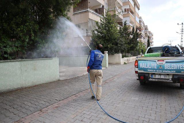 Haliliye’de larva ile mücadele çalışmaları sürüyor