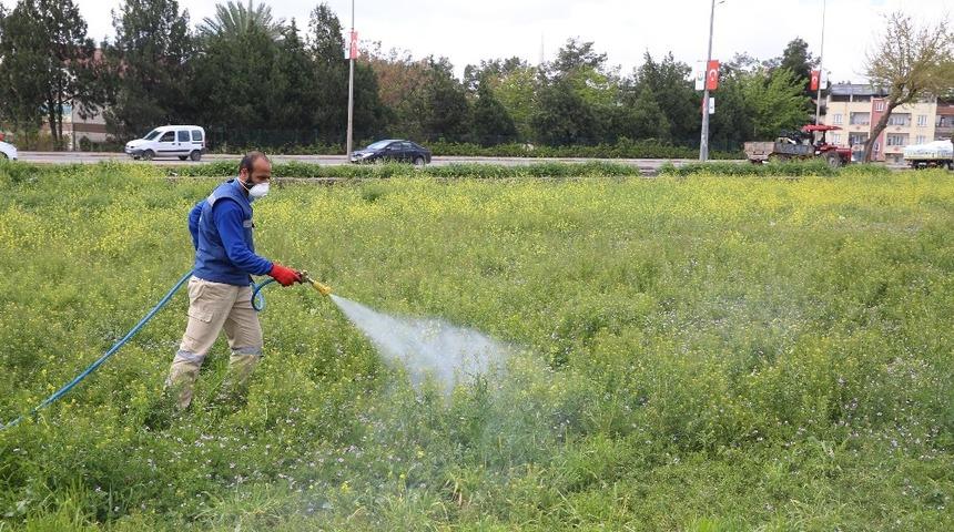 Haliliye&rsquo;de larva ile m&uuml;cadele &ccedil;alışmaları s&uuml;r&uuml;yor