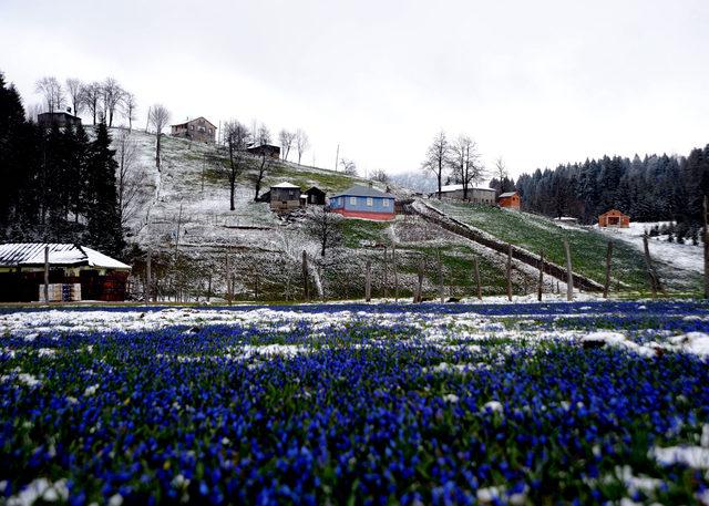 Mor Yayla, yağan karla beyaza büründü