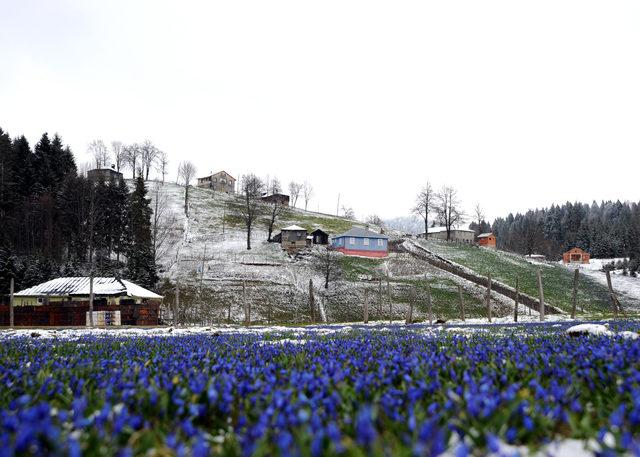 Mor Yayla, yağan karla beyaza büründü