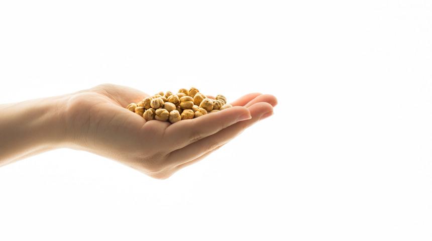 Günde 1 avuç yediğinizde bakın neye iyi geliyor!