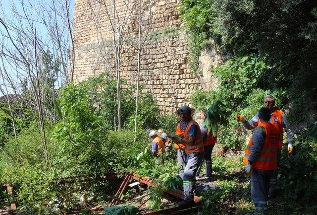 Büyükşehir’den tarihi surlarda bahar temizliği