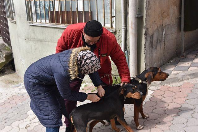 Bozüyük’te ücretsiz kuduz aşısı kampanyası