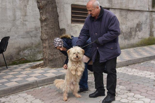 Bozüyük’te ücretsiz kuduz aşısı kampanyası