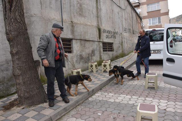 Bozüyük’te ücretsiz kuduz aşısı kampanyası