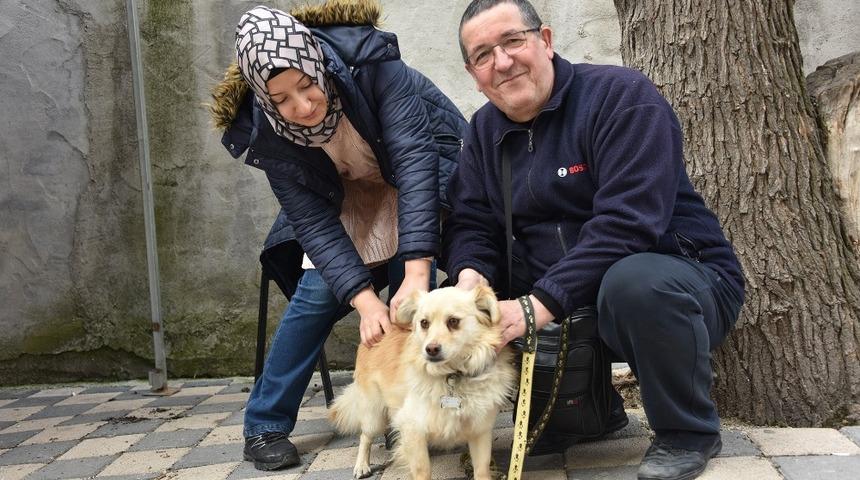 Boz&uuml;y&uuml;k&rsquo;te &uuml;cretsiz kuduz aşısı kampanyası