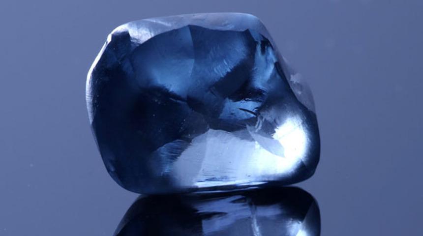 Böylesi görülmedi! Dünyanın en büyük mavi elması