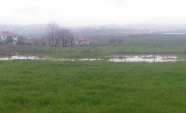 Kovancılar’da yağış, ekinlere zarar verdi