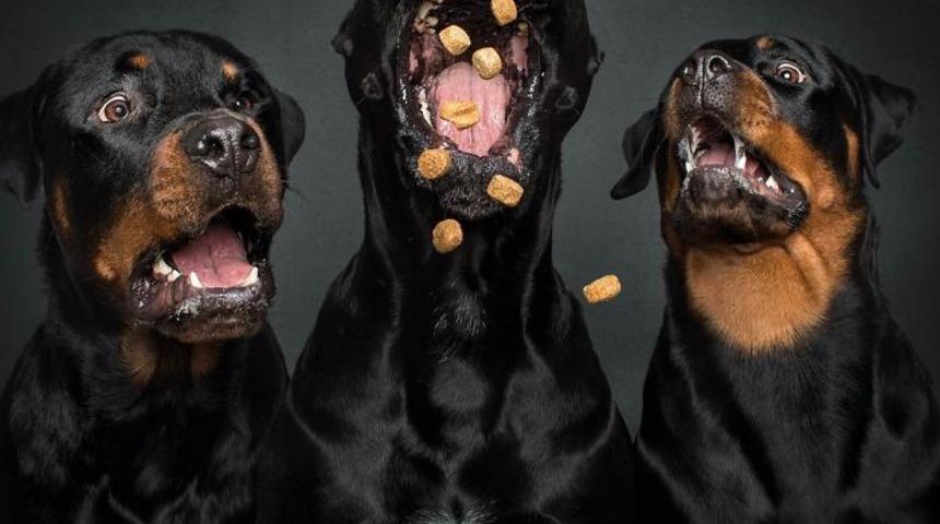 Ünlü fotoğrafçının çektiği bu fotoğraflar hiç bir yerde yok!