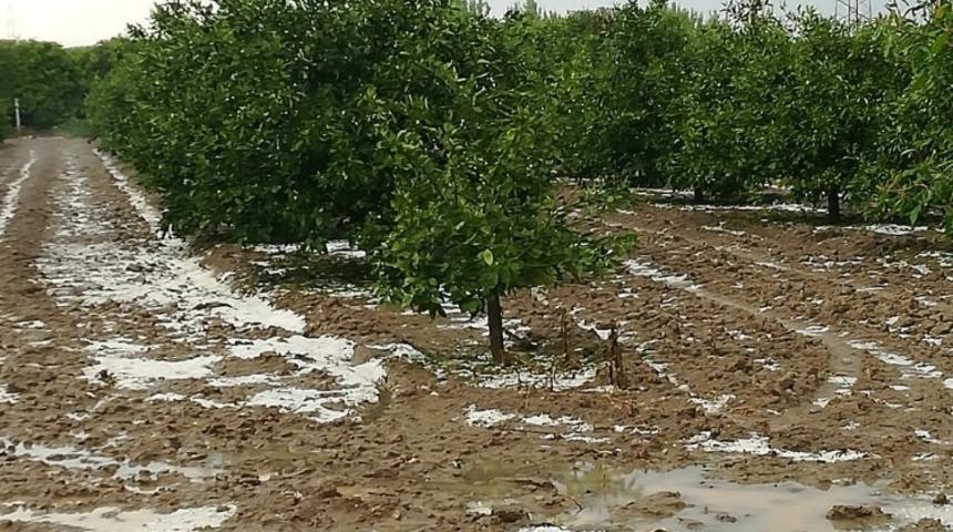 Barut: "&Ccedil;ukurova, afet b&ouml;lgesi ilan edilsin"