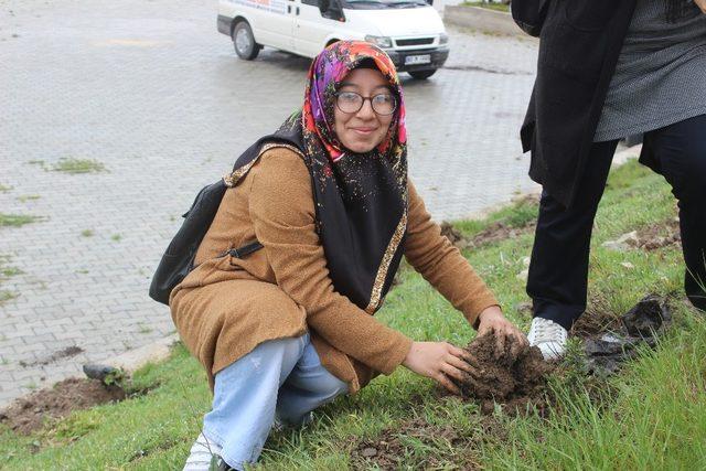 Turhal’da 1.Fidan Dikim Şenliği düzenlendi.