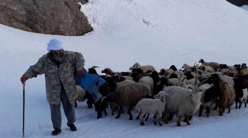 Besicilerin zorlu yayla yolculuğu