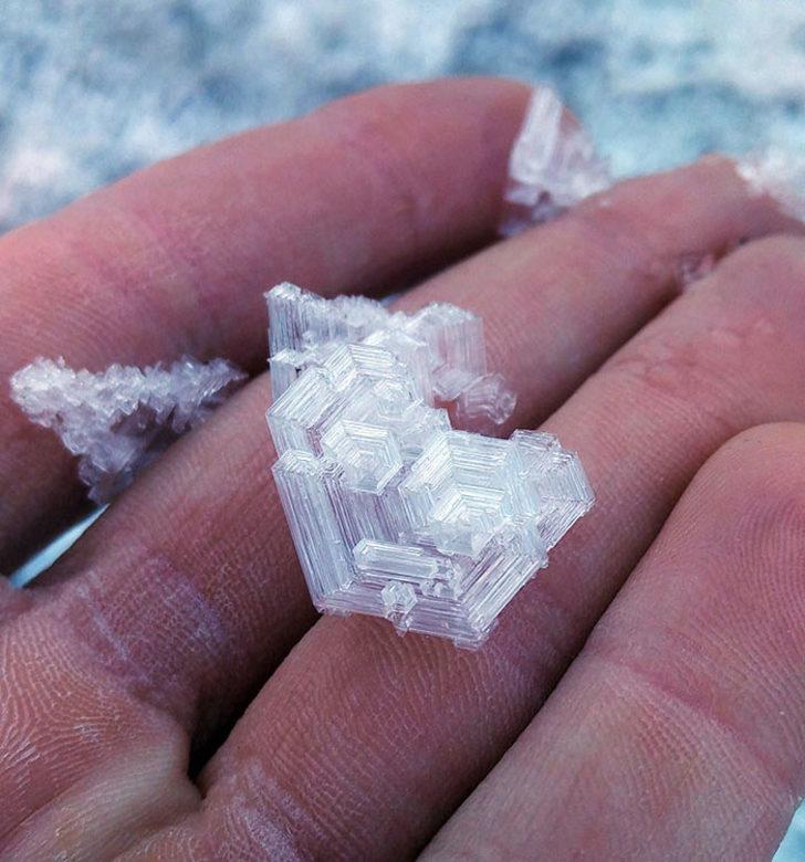 Ne olduğunu biliyorsunuz ama daha önce hiç fotoğrafını görmediniz!  G4