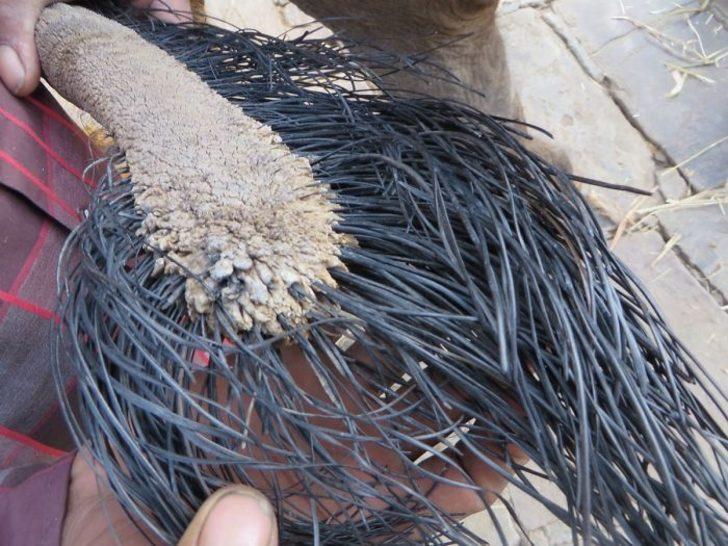 Ne olduğunu biliyorsunuz ama daha önce hiç fotoğrafını görmediniz!  G5