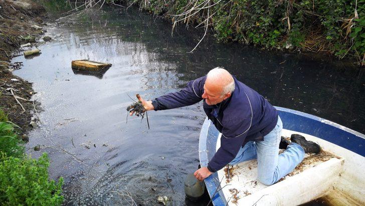 İznik'te endişelendiren görüntü! 'Kim yapıyor bilmiyorum ama...' G4
