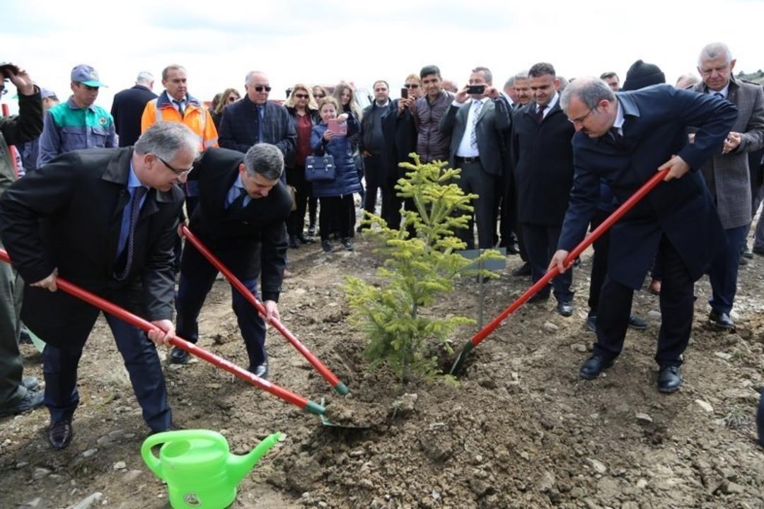 Maden sahaları yeşilleniyor