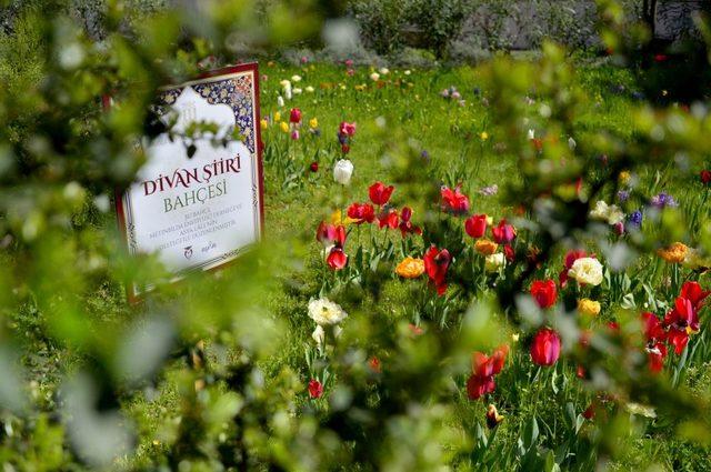 Baharın gelişi Divan Şiiri bahçesinde şiirlerle karşılandı