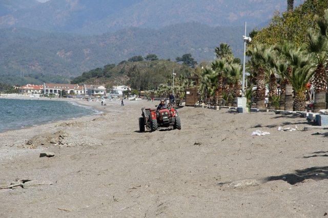 Çalış Plajı caretta carettalar için temizleniyor