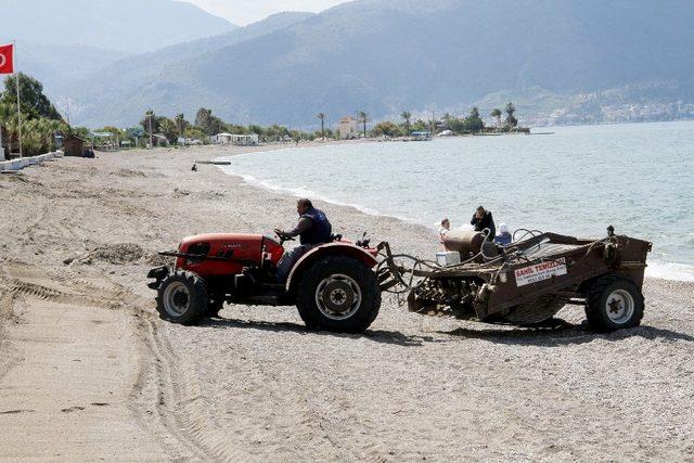 Çalış Plajı caretta carettalar için temizleniyor