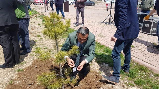 Develi’de Ağaç Dikme Etkinliği Düzenlendi