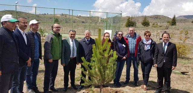 Develi’de Ağaç Dikme Etkinliği Düzenlendi