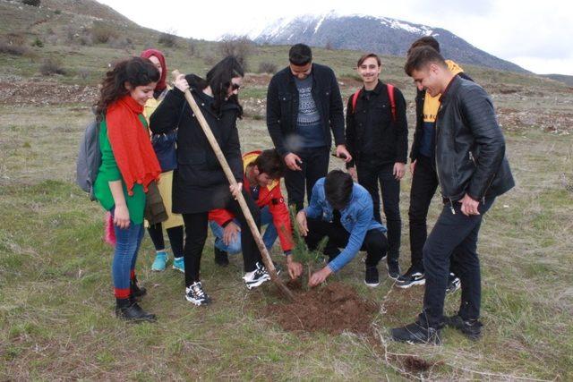 Turizm Haftasında yüzlerce fidan toprakla buluştu