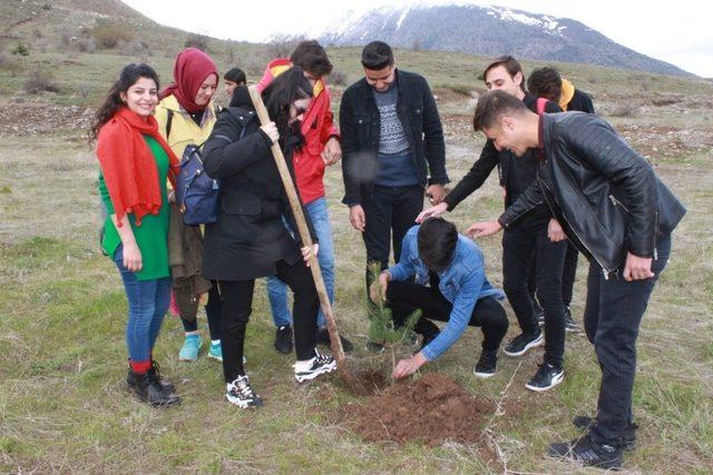 Turizm Haftasında yüzlerce fidan toprakla buluştu