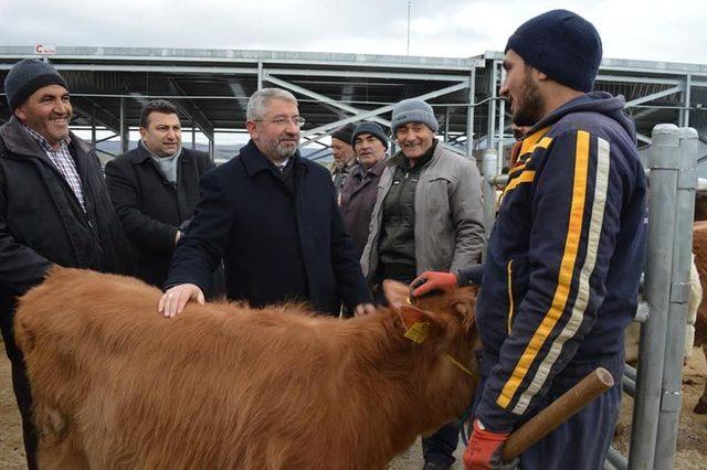 Çorum Hayvan Pazarı açılış saatinde düzenleme