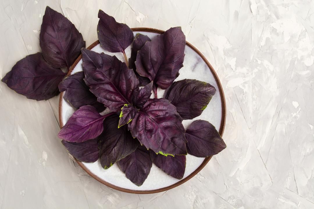 Sadece 2 yaprağı bile bakın nelere iyi geliyor!