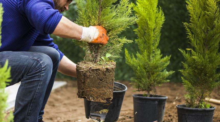 Saraya 189 bin TL maaşla bahçıvan aranıyor