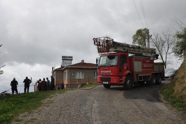 Sinop’ta ahır yangını: 5 hayvan telef oldu