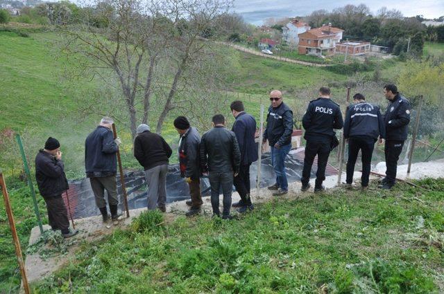 Sinop’ta ahır yangını: 5 hayvan telef oldu