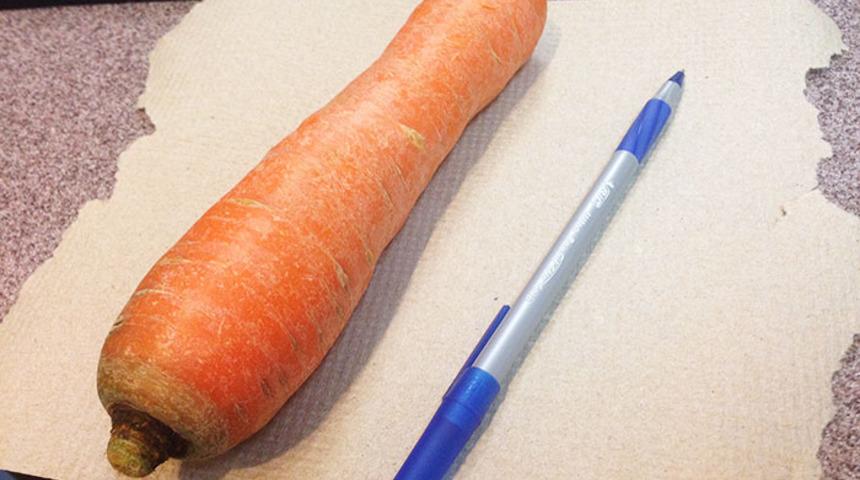 Daha &ouml;nce neden duymadım diyeceğiniz 21 ipucu!