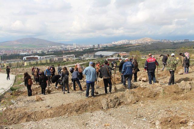 Öğrenciler fidan dikti